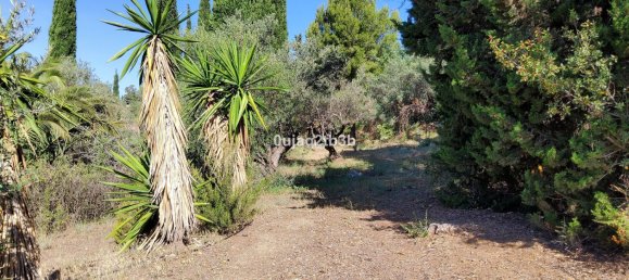 6 bedrooms House in Mijas, Spain No. 147848 25