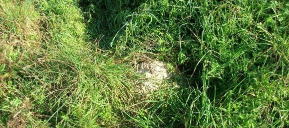  Land in Mahon, Spain No. 2070 2