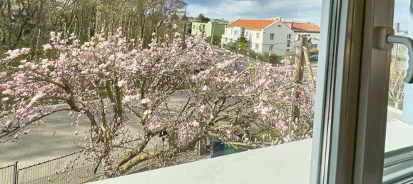 8-salle Maison à Favoriten, Austria No. 52871 2