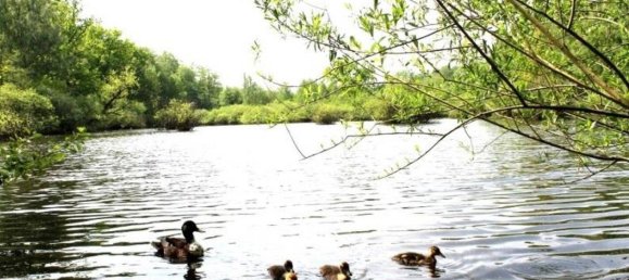 3 Schlafzimmer Wohnung in Hamburg-Nord, Germany, Nr. 356480 13