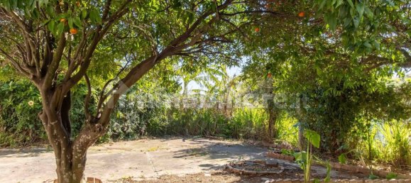 3 bedrooms Villa in Procida, Italy No. 31566 13