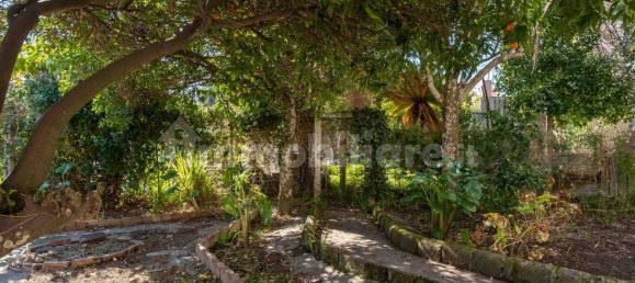 3 bedrooms Villa in Procida, Italy No. 31566 14