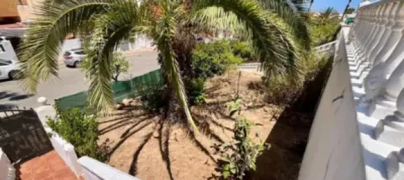 2 bedrooms Bungalow in Torrevieja, Spain No. 174773 26