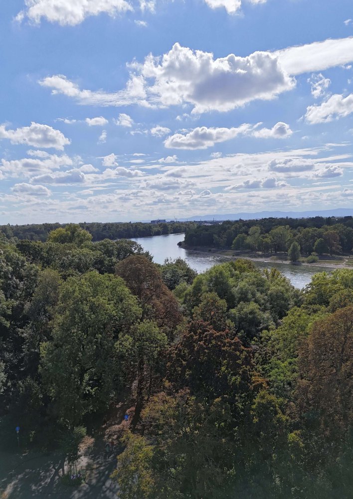 3 غرف نوم شقة في Mannheim, Germany رقم 319591