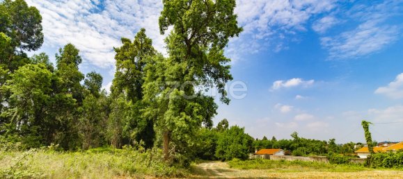 15560m² Land in Santo Tirso, Portugal No. 162803 8