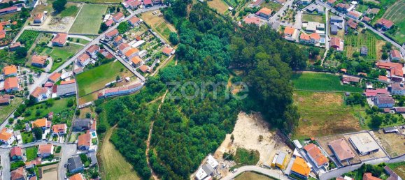 15560m² Land in Santo Tirso, Portugal No. 162803 9