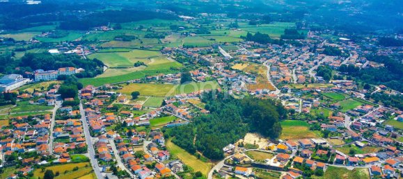 15560m² Land in Santo Tirso, Portugal No. 162803 3