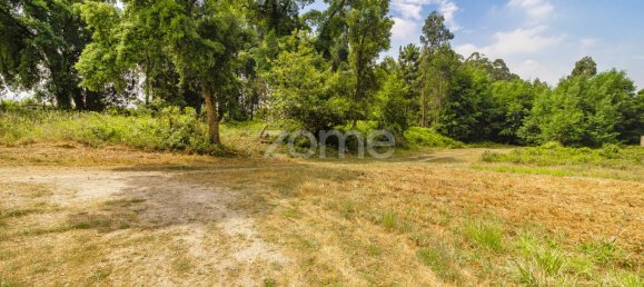 15560m² Land in Santo Tirso, Portugal No. 162803 6
