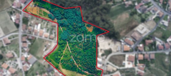 15560m² Land in Santo Tirso, Portugal No. 162803 2