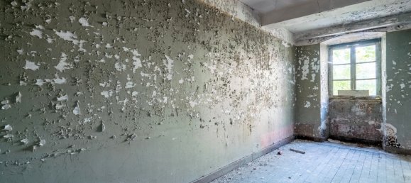 Bâtiment à Langres, France 210m² No. 73535 31