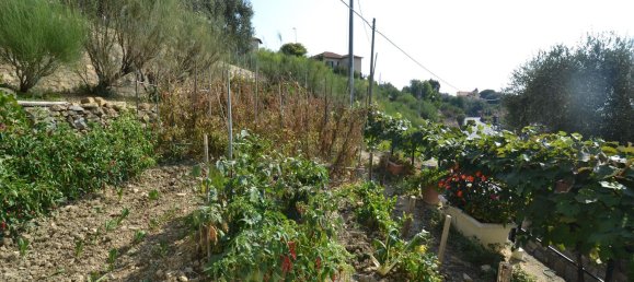 7-Zimmer Haus in Bordighera, Italy, Nr. 177042 7