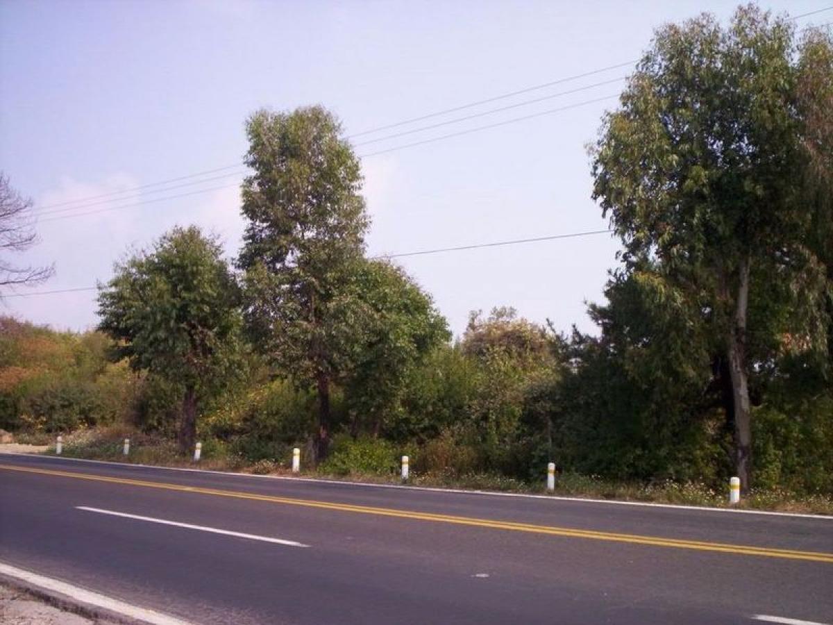 Grundstück in Tepetlixpa, Mexico, Nr. 205398