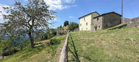 10 rooms House in Barga, Italy No. 309766 4