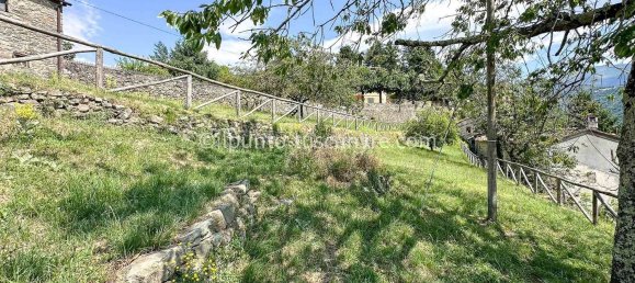 10 rooms House in Barga, Italy No. 309766 50