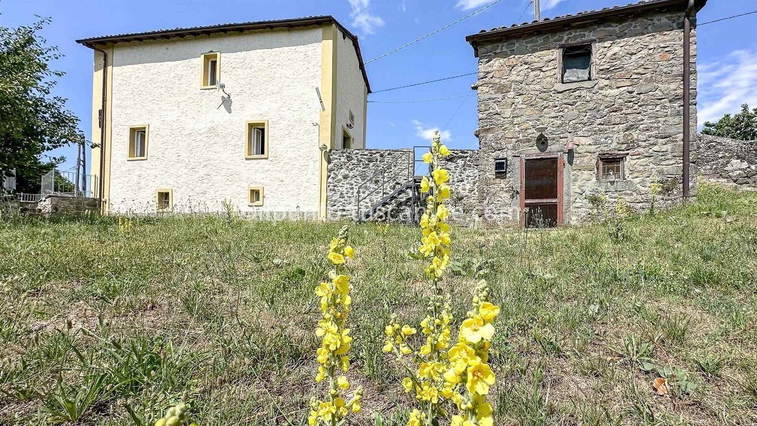 10 rooms House in Barga, Italy No. 309766