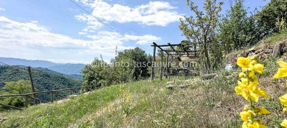 10 rooms House in Barga, Italy No. 309766 20