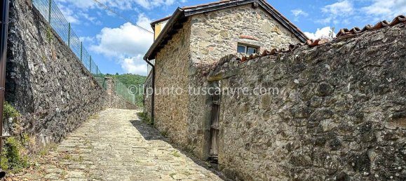 10 rooms House in Barga, Italy No. 309766 13