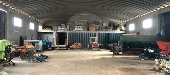 9 Schlafzimmer Haus in Monte do Trigo, Portugal, Nr. 54496 13