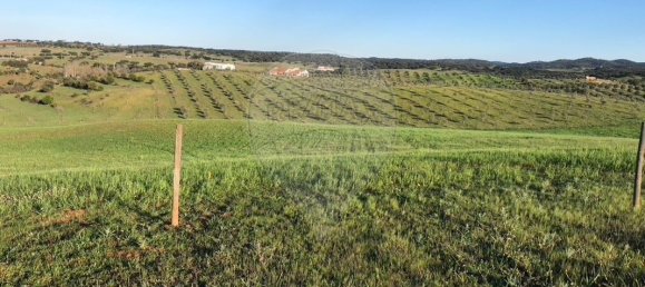 9 Schlafzimmer Haus in Monte do Trigo, Portugal, Nr. 54496 14