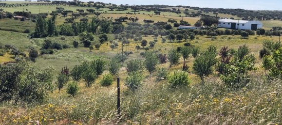 9 Schlafzimmer Haus in Monte do Trigo, Portugal, Nr. 54496 17
