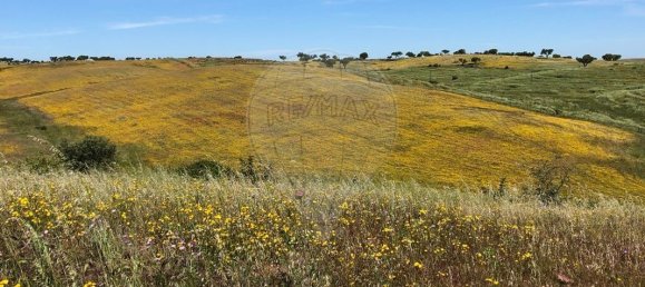 9 Schlafzimmer Haus in Monte do Trigo, Portugal, Nr. 54496 5