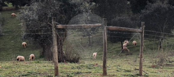 9 Schlafzimmer Haus in Monte do Trigo, Portugal, Nr. 54496 20