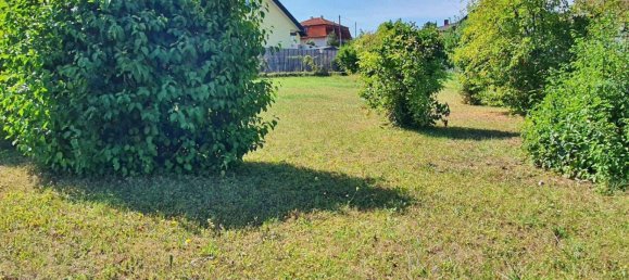 Land in Enzesfeld-Lindabrunn, Austria No. 63034 4