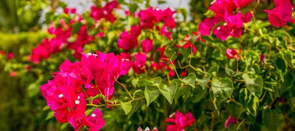 2 bedrooms Penthouse in Llucmajor, Spain No. 176876 38