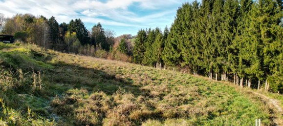  Land in Kainbach bei Graz, Austria No. 128073 3