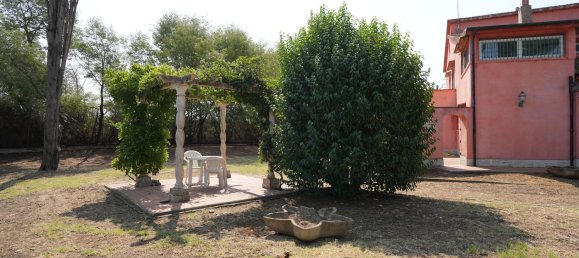 15 rooms Villa in Rome, Italy No. 156583 3