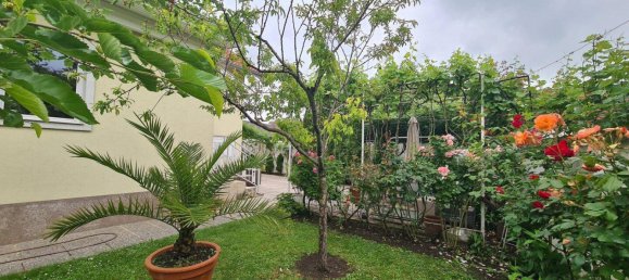 5 rooms House in Wimpassing an der Leitha, Austria No. 154493 15