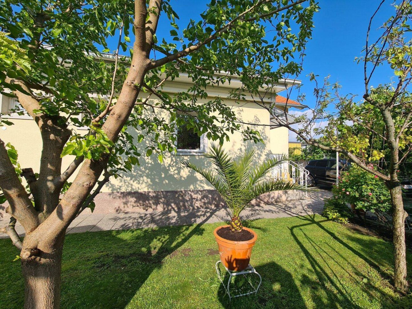 5 rooms House in Wimpassing an der Leitha, Austria No. 154493