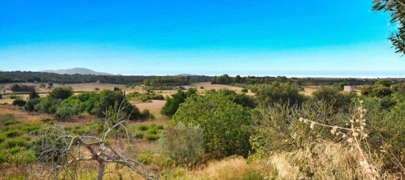 4 Schlafzimmer Haus in Santa Margalida, Spain, Nr. 133575 20