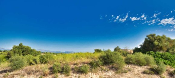 4 Schlafzimmer Haus in Santa Margalida, Spain, Nr. 133575 39