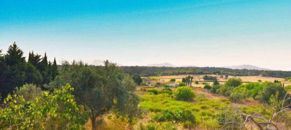 4 Schlafzimmer Haus in Santa Margalida, Spain, Nr. 133575 22