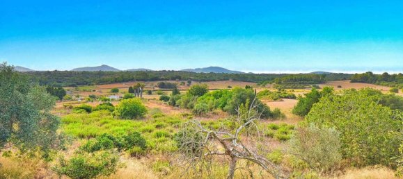 4 Schlafzimmer Haus in Santa Margalida, Spain, Nr. 133575 19