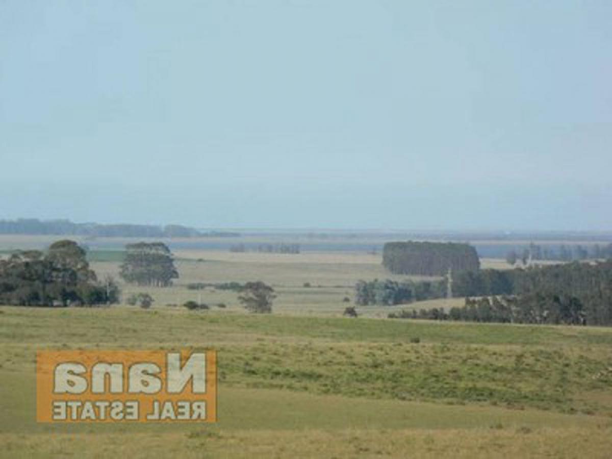 Ферма в Мальдонадо, Уругвай № 14456