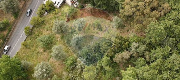 2 Schlafzimmer Haus in Coimbra, Portugal, Nr. 33029 4