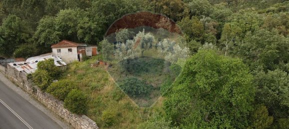 2 Schlafzimmer Haus in Coimbra, Portugal, Nr. 33029 5