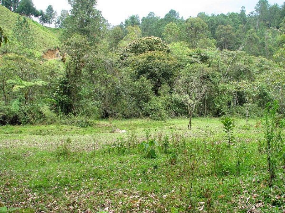  Land in Antioquia, Colombia No. 582