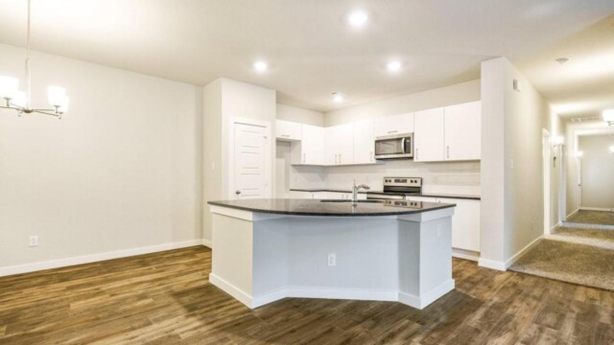 Casa T8 em Venus, USA N.º 441137