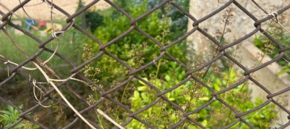 7 Schlafzimmer Haus in Alava, Spain, Nr. 155749 25