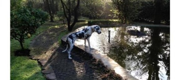 4 Schlafzimmer Haus in Mexicali, Mexico, Nr. 149904 2