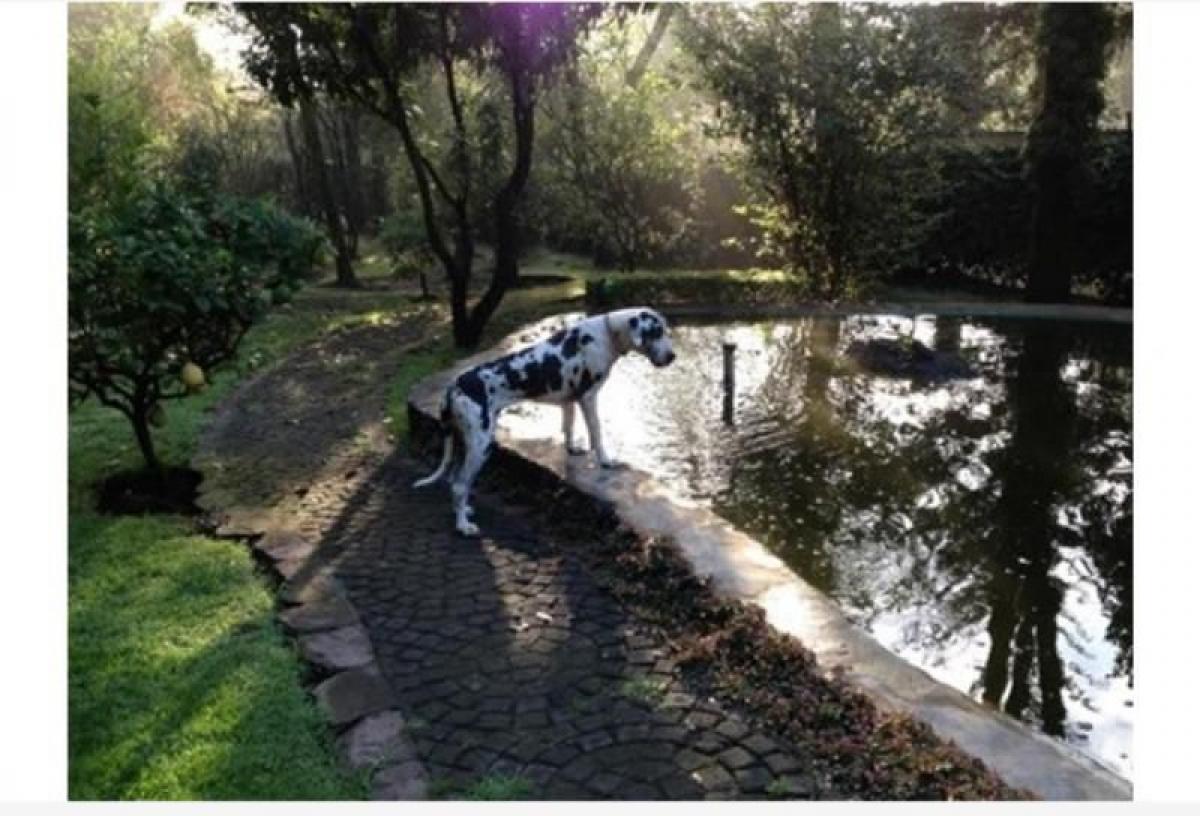4 Schlafzimmer Haus in Mexicali, Mexico, Nr. 149904