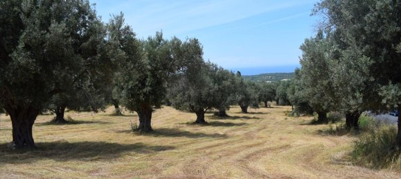 Отель, гостиница 5400м² в Ретимни, Крит, Греция № 6324 3