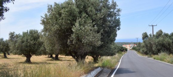 5400m² Hotel in Rethymno, Greece No. 6324 4