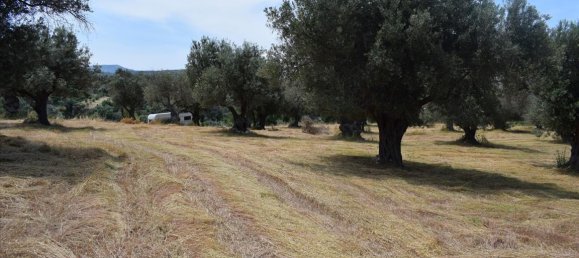 5400m² Hotel in Rethymno, Greece No. 6324 2