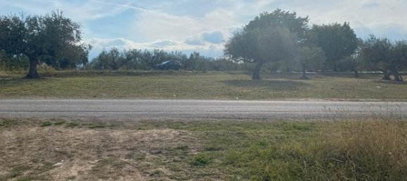 Terreno em Cepagatti, Italy 870 m² N.º 265098 3