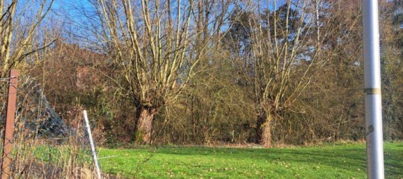 Земельный участок в Верра-Майснер, Германия № 363286 3