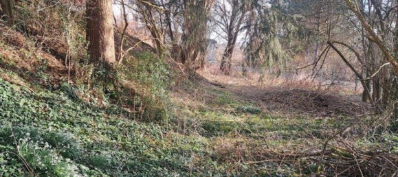 Земельный участок в Верра-Майснер, Германия № 363286 10